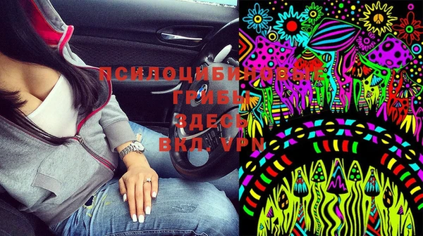 МДПВ Армянск