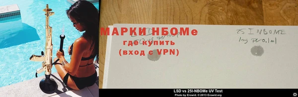 спайс Аркадак