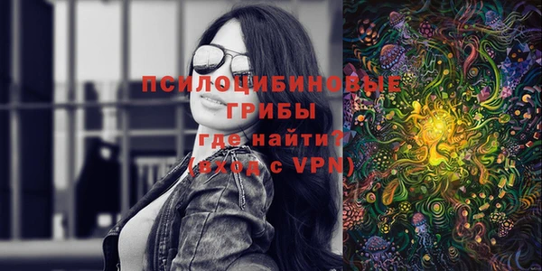 МДПВ Армянск