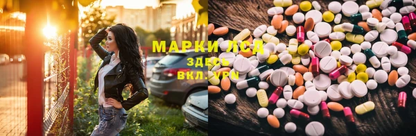 спайс Аркадак
