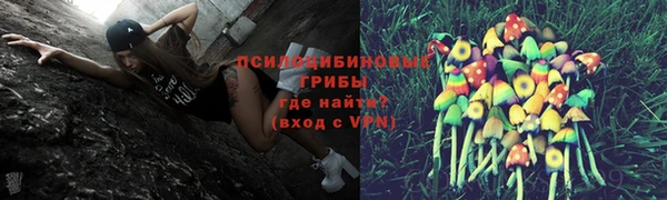 МДПВ Армянск