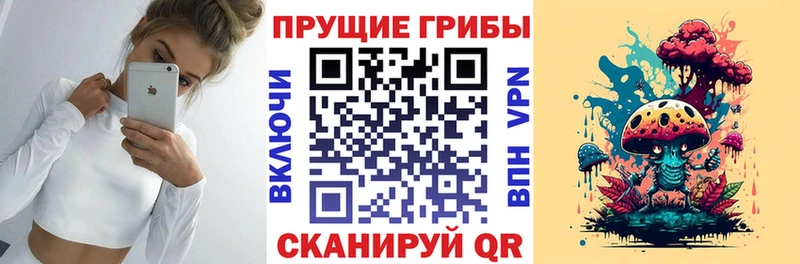 Галлюциногенные грибы Cubensis  Светлогорск 